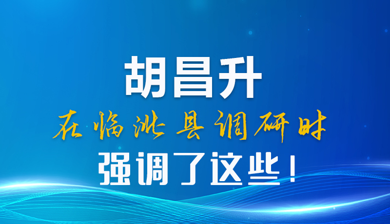 圖解|胡昌升在臨洮縣調研時強調了這些！